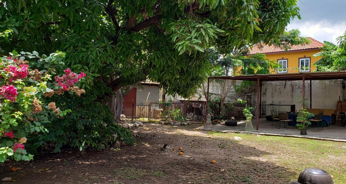 Eighth image of Woodley Avenue in Kingston 19, St. Andrew, Jamaica - property is For Sale