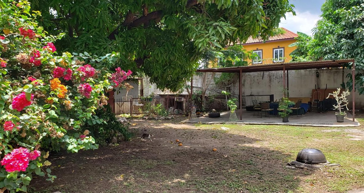 Ninth image of Woodley Avenue in Kingston 19, St. Andrew, Jamaica - property is For Sale