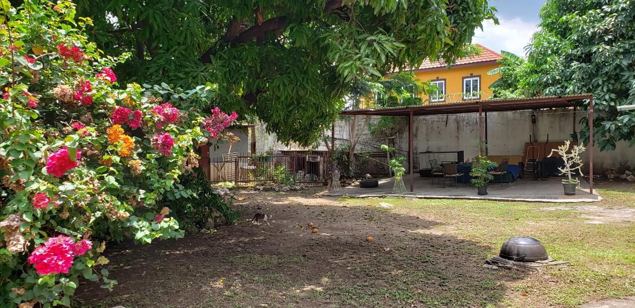 Spacious-6-Bedroom-Family-Home-for-Sale-in-St.-Andrew-Jamaica Ninth image of Woodley Avenue in Kingston 19, St. Andrew, Jamaica - property is For Sale