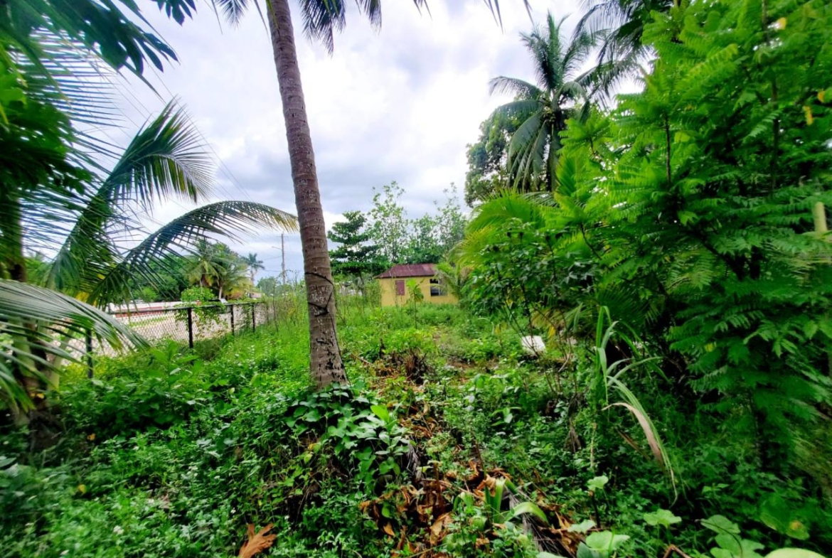 Fourth image of Lot #128 Kingsvalley, Grange Hill in Grange Hill, Westmoreland, Jamaica - property is For Sale