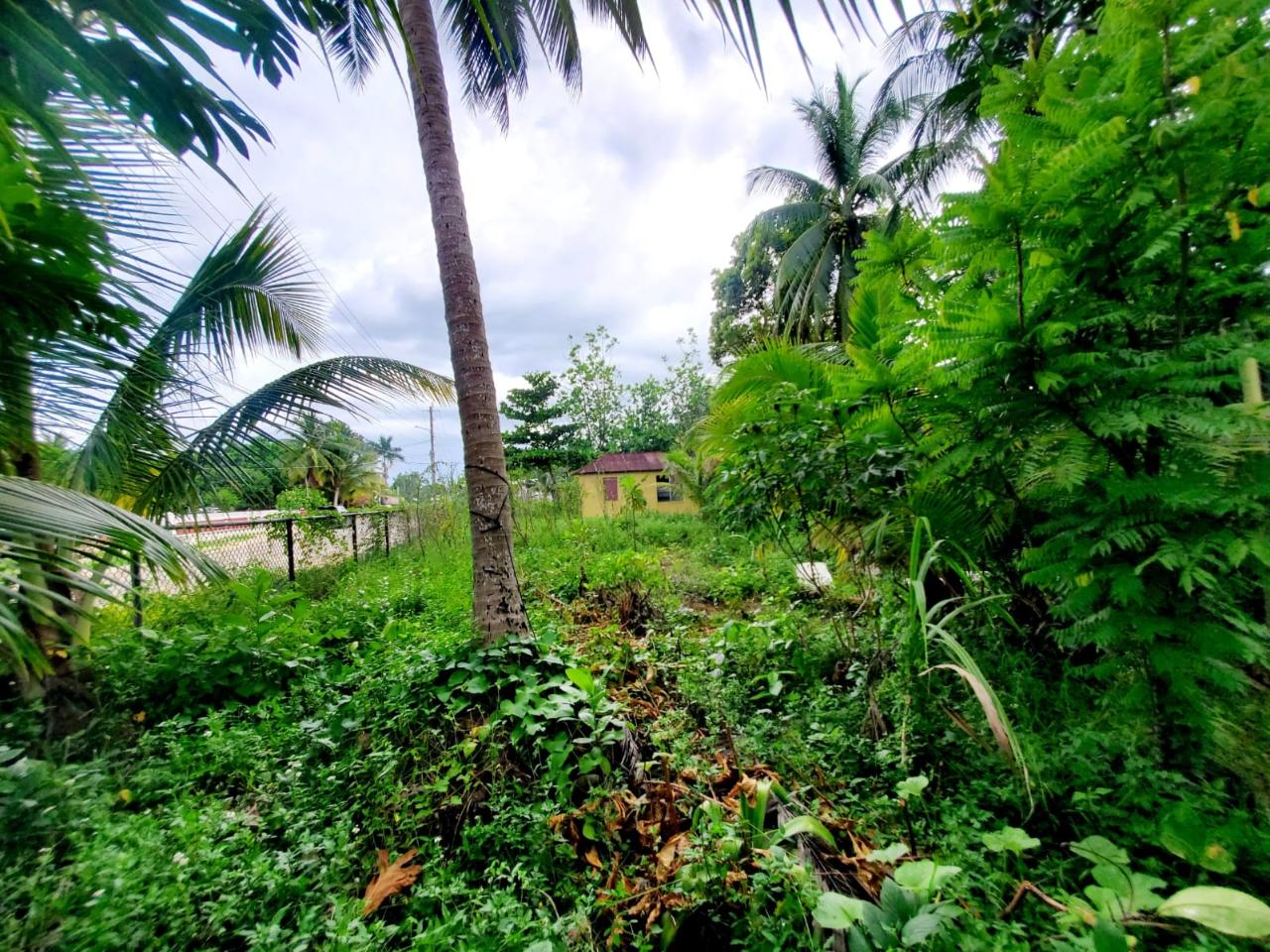 Fourth image of Lot #128 Kingsvalley, Grange Hill in Grange Hill, Westmoreland, Jamaica - property is For Sale