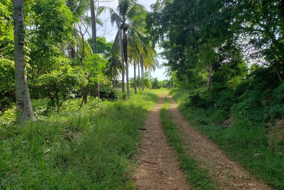 Sixth image of Land Part of Cocoa Walk in Cocoa Walk, St. Catherine, Jamaica - property is For Sale