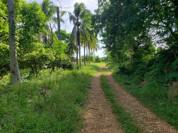 Sixth image of Land Part of Cocoa Walk in Cocoa Walk, St. Catherine, Jamaica - property is For Sale