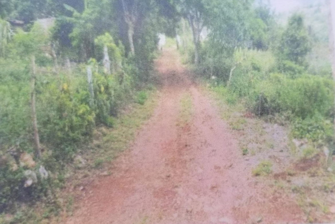 Second image of 0 Broad Lt, Comfort, Manch. in Comfort, Manchester, Jamaica - property is For Sale