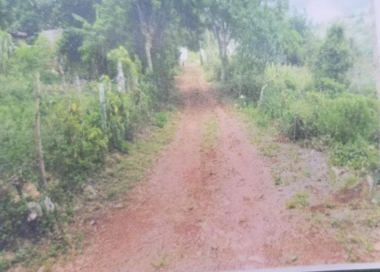 Second image of 0 Broad Lt, Comfort, Manch. in Comfort, Manchester, Jamaica - property is For Sale