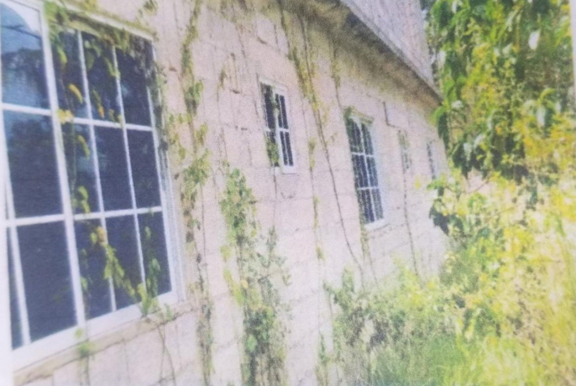 Eleventh image of 0 Broad Lt, Comfort, Manch. in Comfort, Manchester, Jamaica - property is For Sale