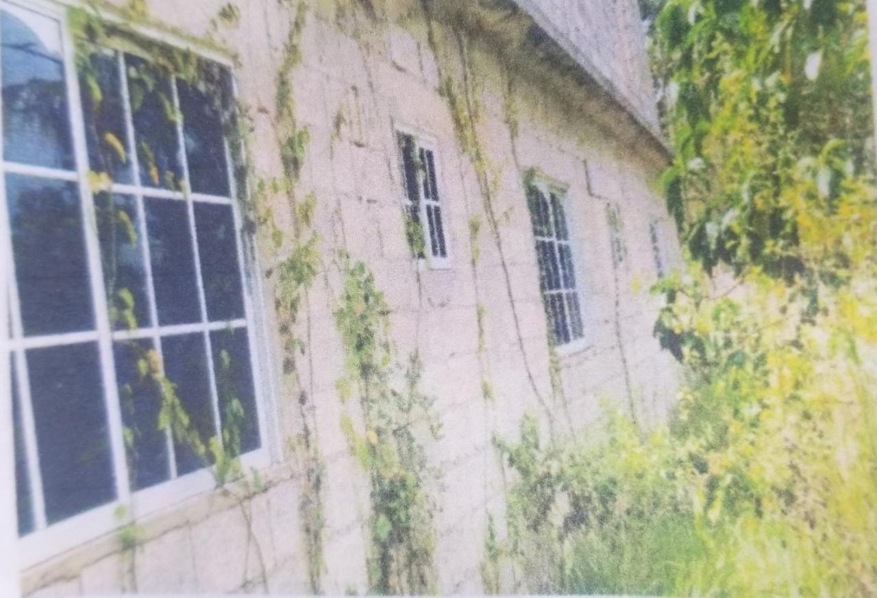 Eleventh image of 0 Broad Lt, Comfort, Manch. in Comfort, Manchester, Jamaica - property is For Sale