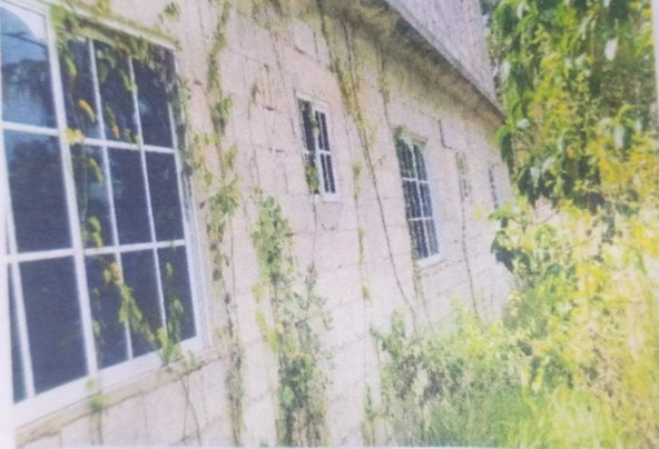 Eleventh image of 0 Broad Lt, Comfort, Manch. in Comfort, Manchester, Jamaica - property is For Sale