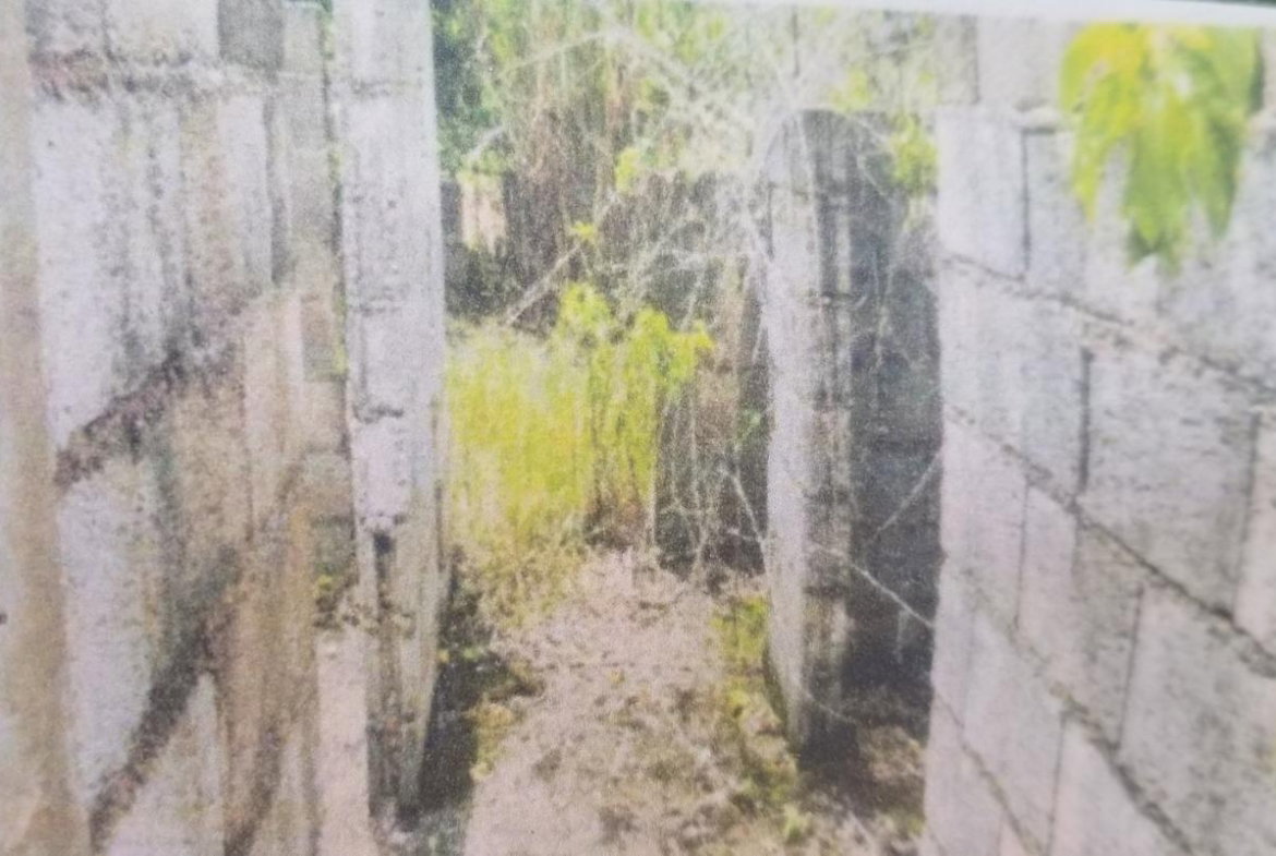 Third image of 0 Broad Lt, Comfort, Manch. in Comfort, Manchester, Jamaica - property is For Sale