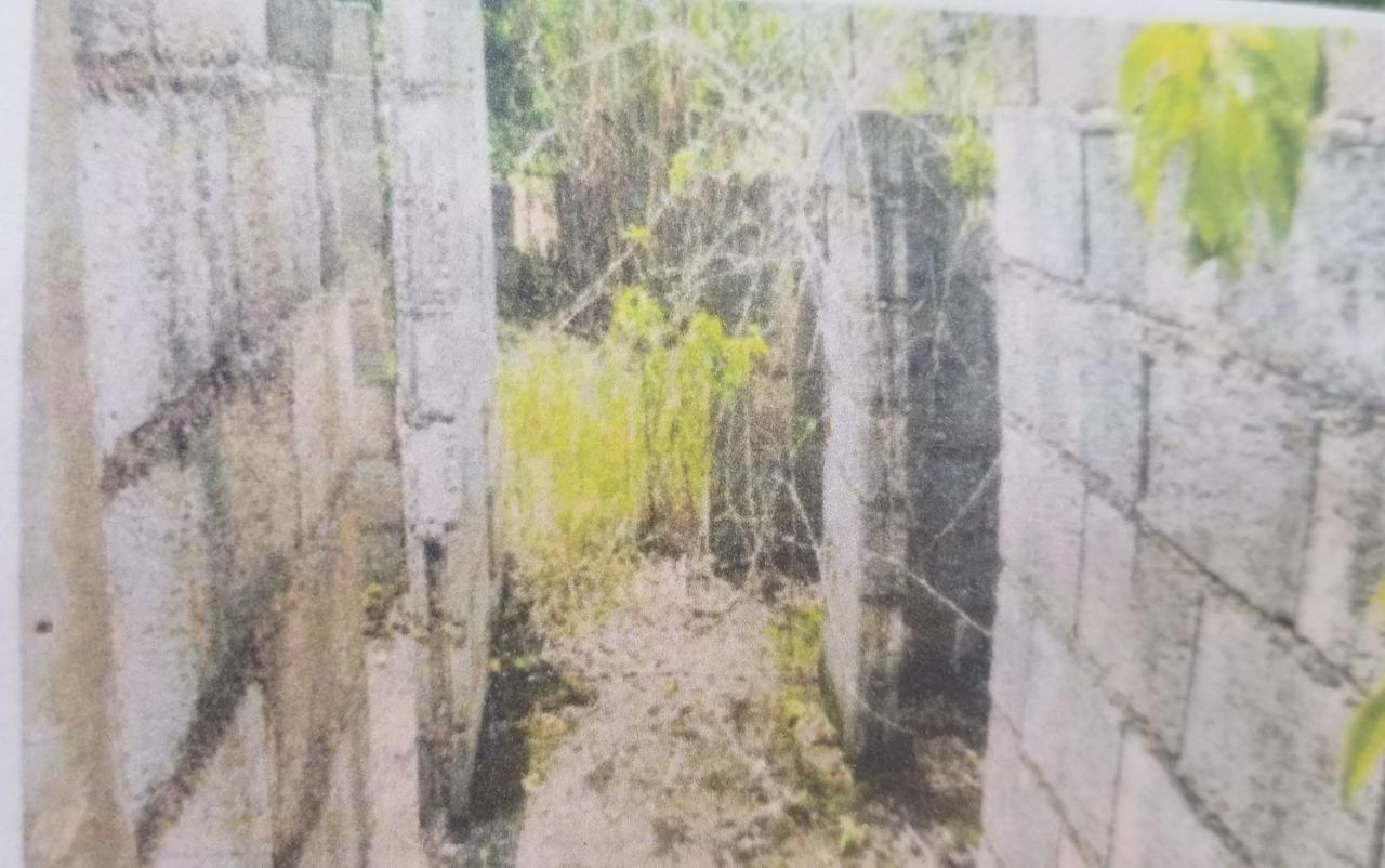 Third image of 0 Broad Lt, Comfort, Manch. in Comfort, Manchester, Jamaica - property is For Sale