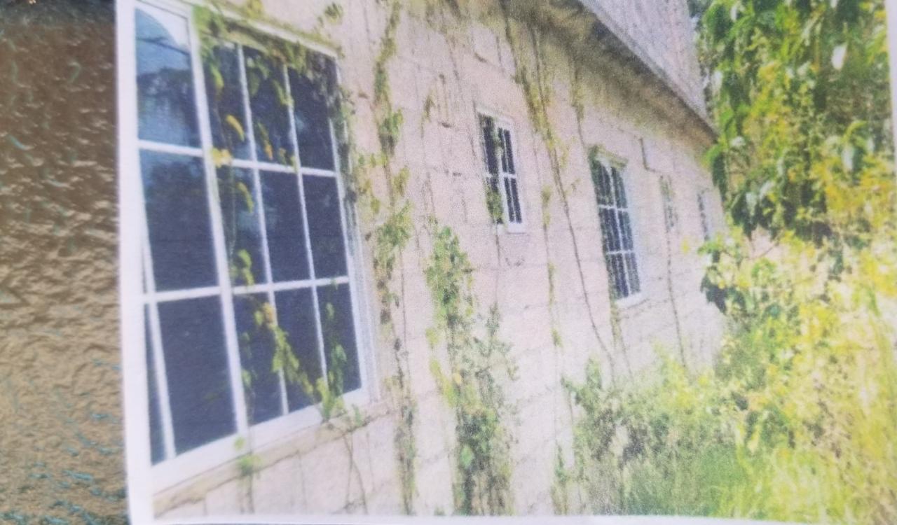 Fourth image of 0 Broad Lt, Comfort, Manch. in Comfort, Manchester, Jamaica - property is For Sale