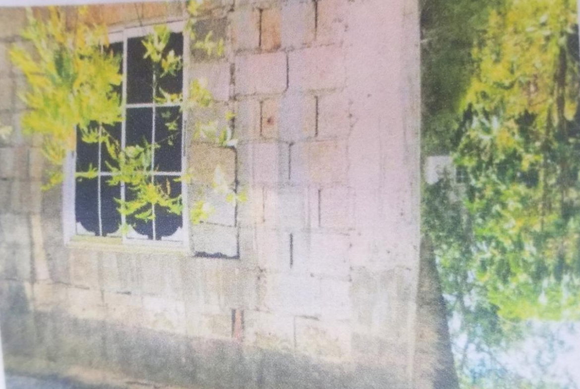 Ninth image of 0 Broad Lt, Comfort, Manch. in Comfort, Manchester, Jamaica - property is For Sale