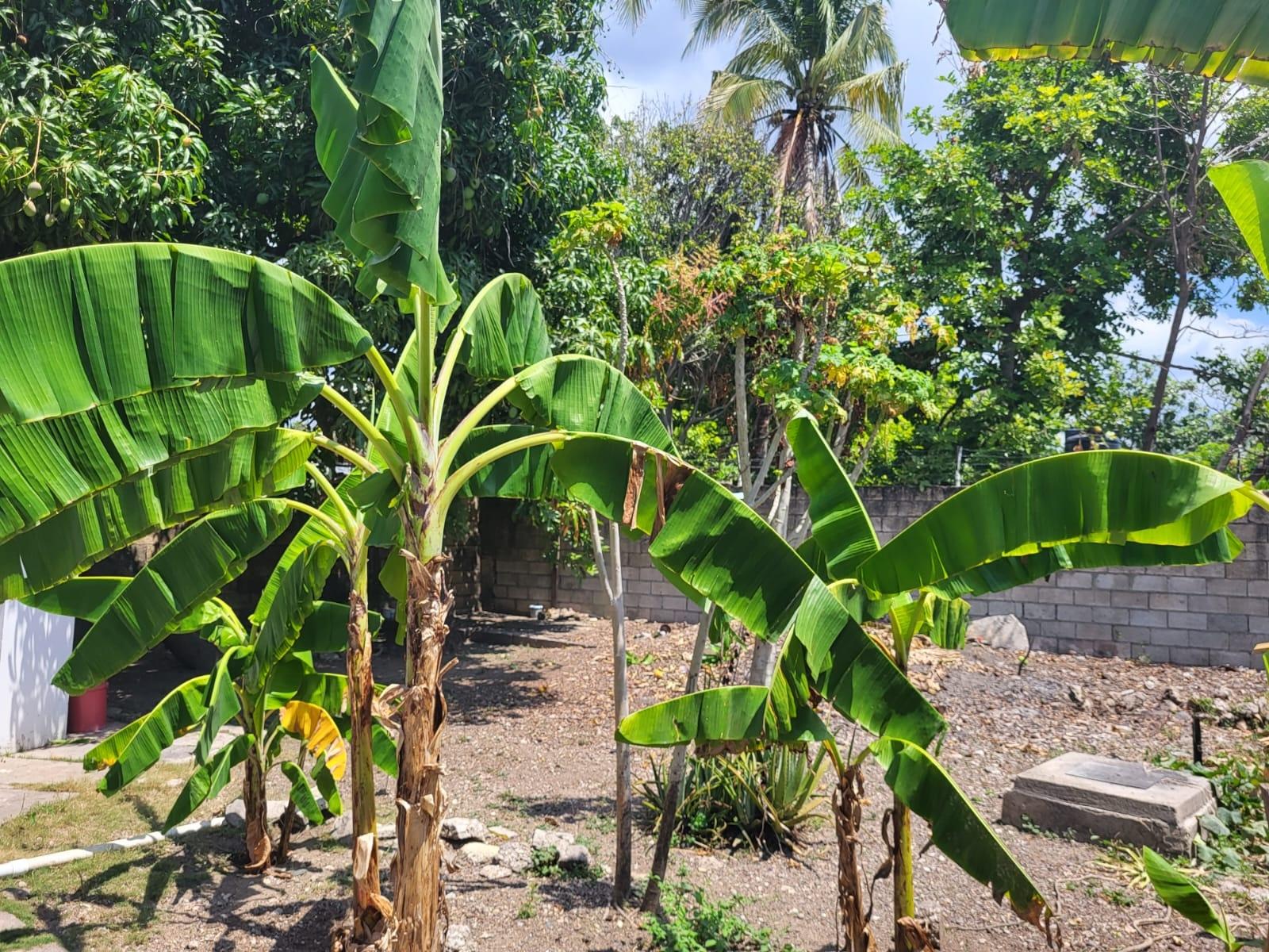 Thirteenth image of 57 Brunswick Avenue in Spanish Town, St. Catherine, Jamaica - property is For Sale