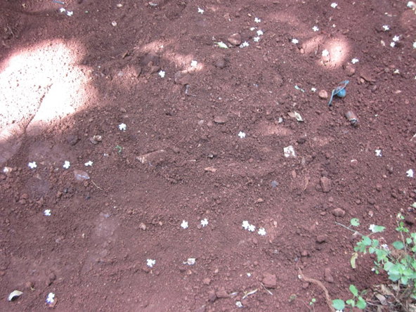 Twelfth image of Lot 16-1 North St. John's Heights, Spani in Spanish Town, St. Catherine, Jamaica - property is For Sale