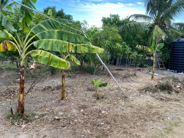 Fifth image of 21 Ashton Drive in May Pen, Clarendon, Jamaica - property is For Rent