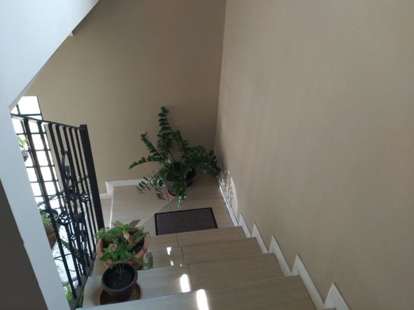 Sixth image of 14-1d Essex Avenue in Barbican, St. Andrew, Jamaica - property is For Rent