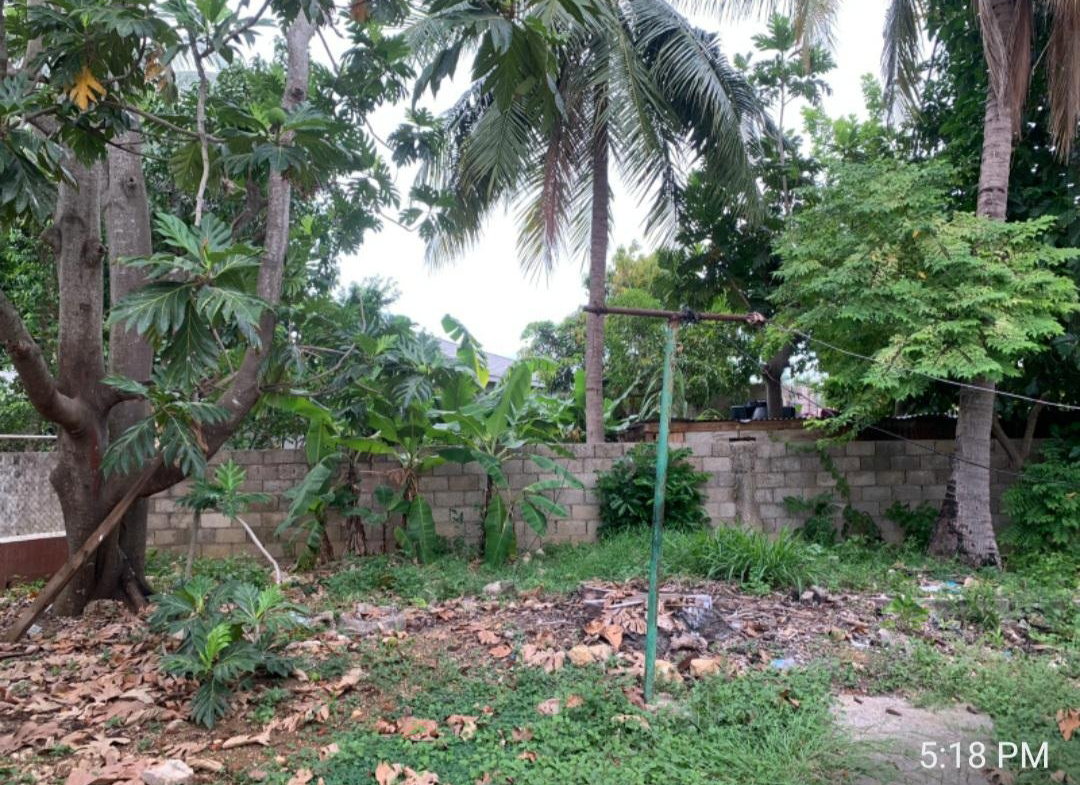 Sixth image of 31 West Park Avenue in May Pen, Clarendon, Jamaica - property is For Sale