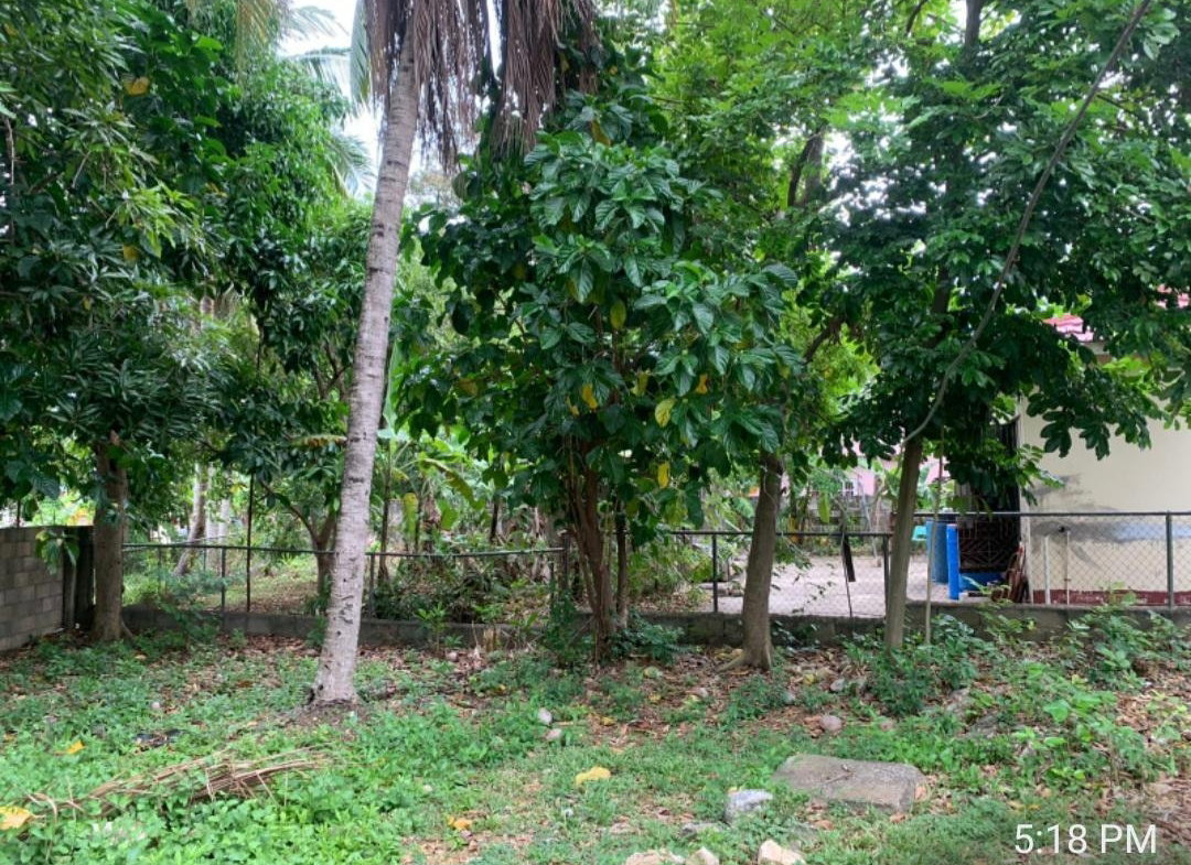 Seventh image of 31 West Park Avenue in May Pen, Clarendon, Jamaica - property is For Sale
