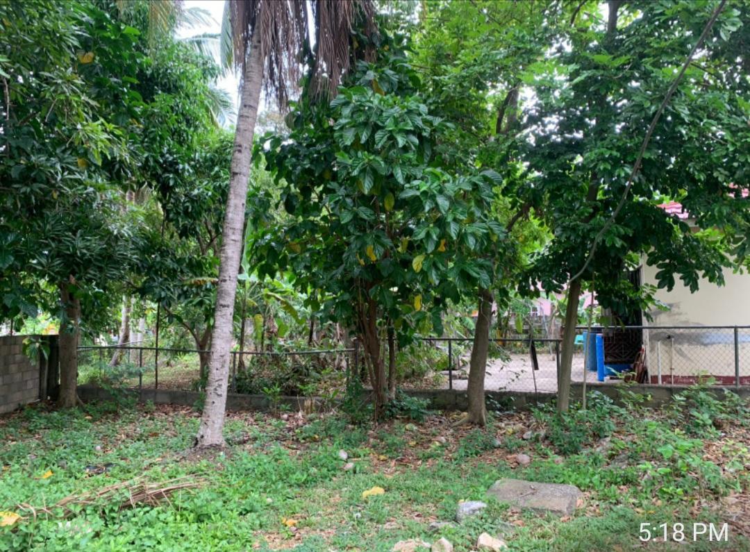 Spacious-Family-Home-for-Sale-in-MayPen-Clarendon-Investment-Opportunity Seventh image of 31 West Park Avenue in May Pen, Clarendon, Jamaica - property is For Sale