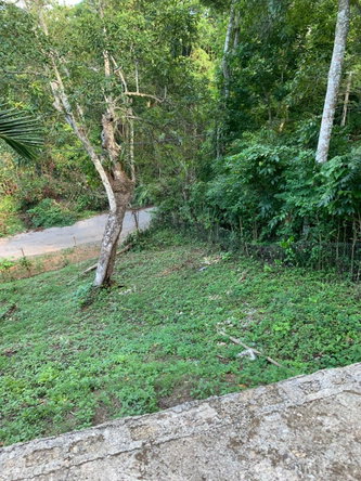Second image of 0 Retreat, st Mary in Petersfield, St. Mary, Jamaica - property is For Sale