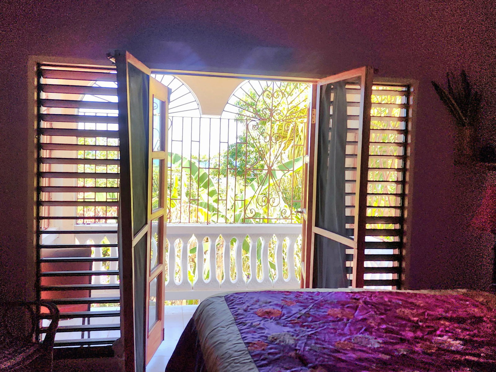 Nineteenth image of 26 Pedro, Hanover in Pedro Pen, Hanover, Jamaica - property is For Sale