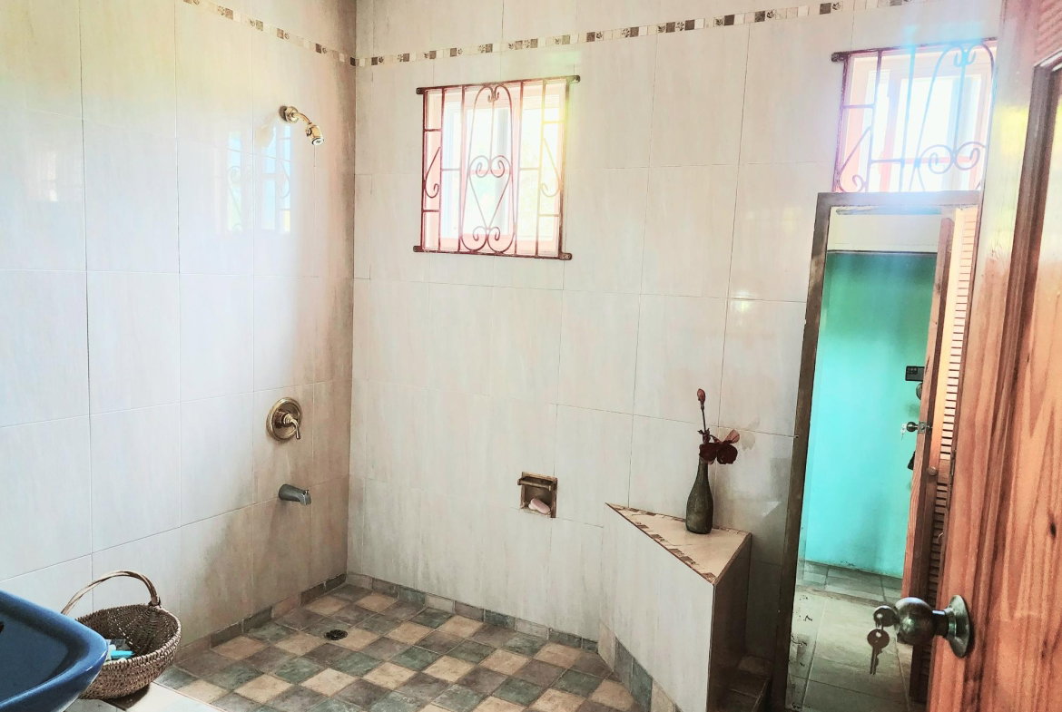 Twenty-First image of 26 Pedro, Hanover in Pedro Pen, Hanover, Jamaica - property is For Sale