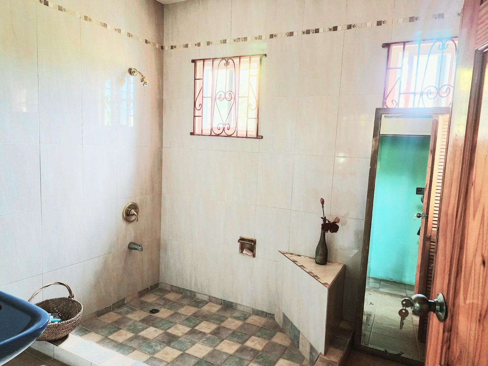 Twenty-First image of 26 Pedro, Hanover in Pedro Pen, Hanover, Jamaica - property is For Sale