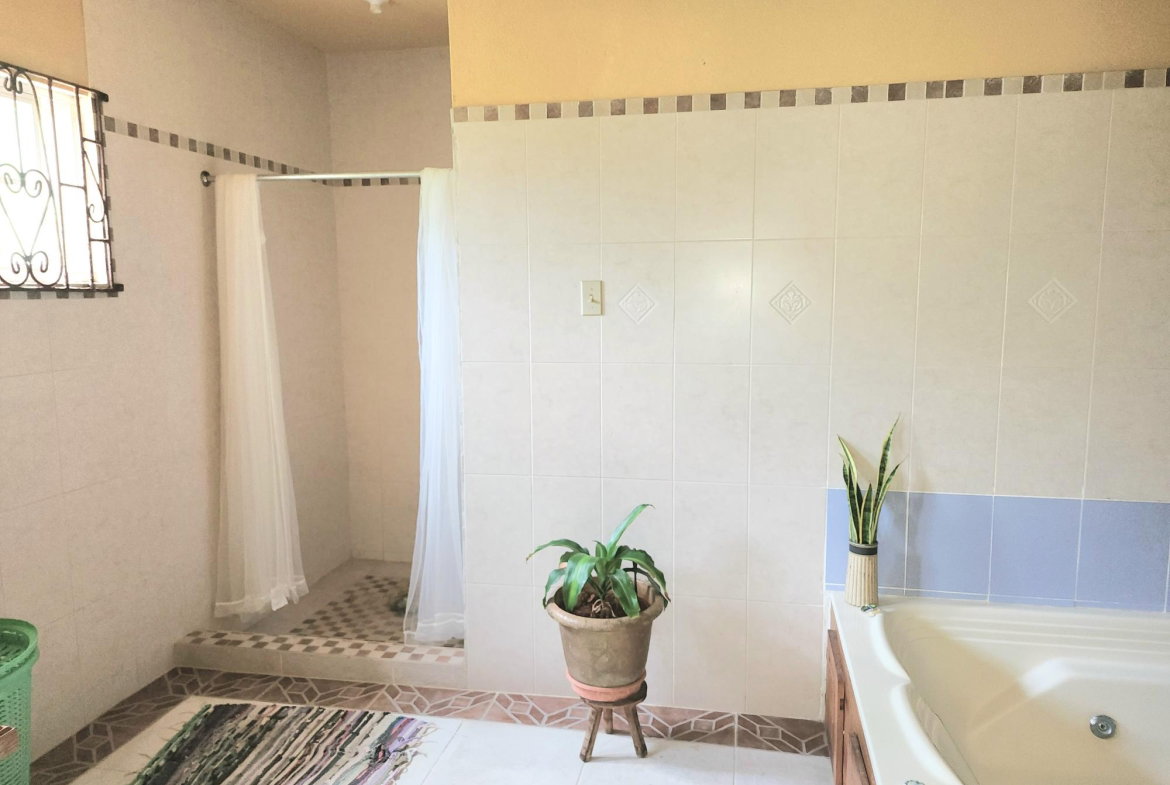 Twenty-Fifth image of 26 Pedro, Hanover in Pedro Pen, Hanover, Jamaica - property is For Sale