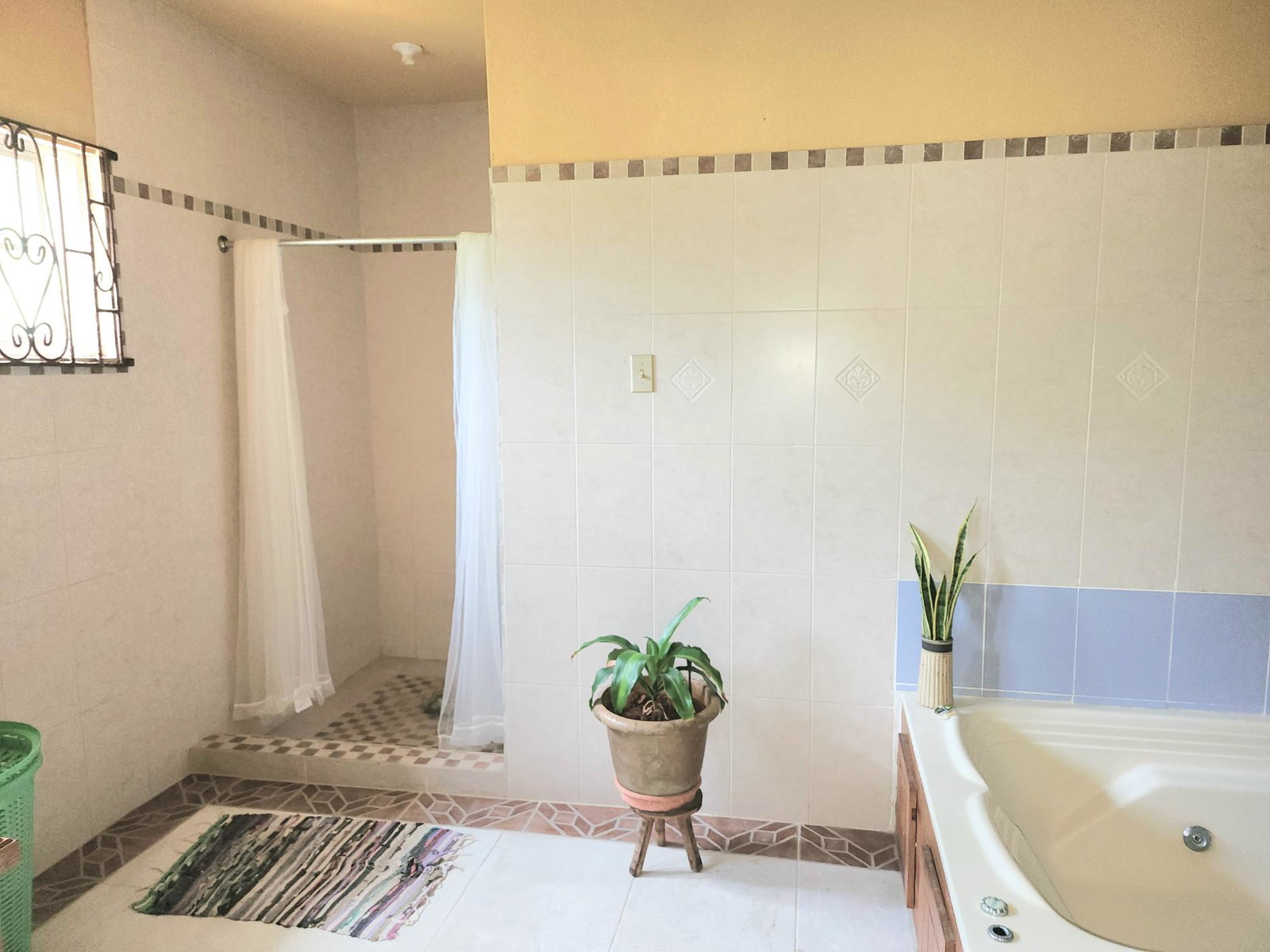 Twenty-Fifth image of 26 Pedro, Hanover in Pedro Pen, Hanover, Jamaica - property is For Sale