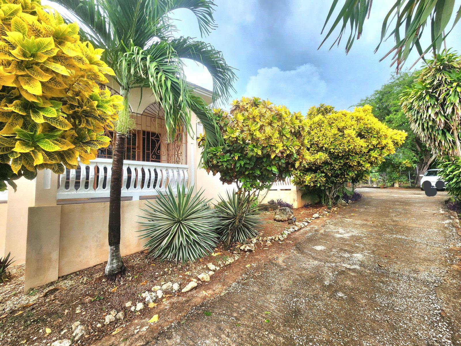 Twenty-Sixth image of 26 Pedro, Hanover in Pedro Pen, Hanover, Jamaica - property is For Sale