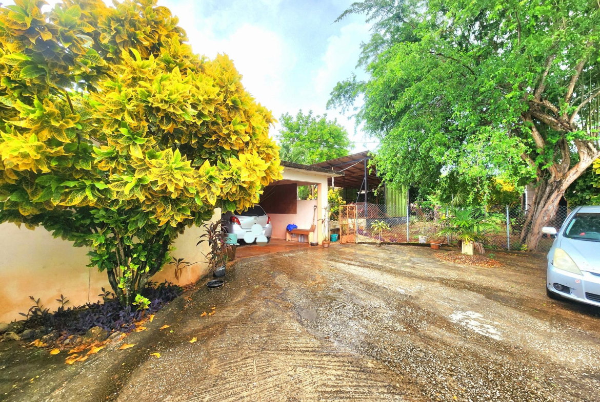 Twenty-Seventh image of 26 Pedro, Hanover in Pedro Pen, Hanover, Jamaica - property is For Sale