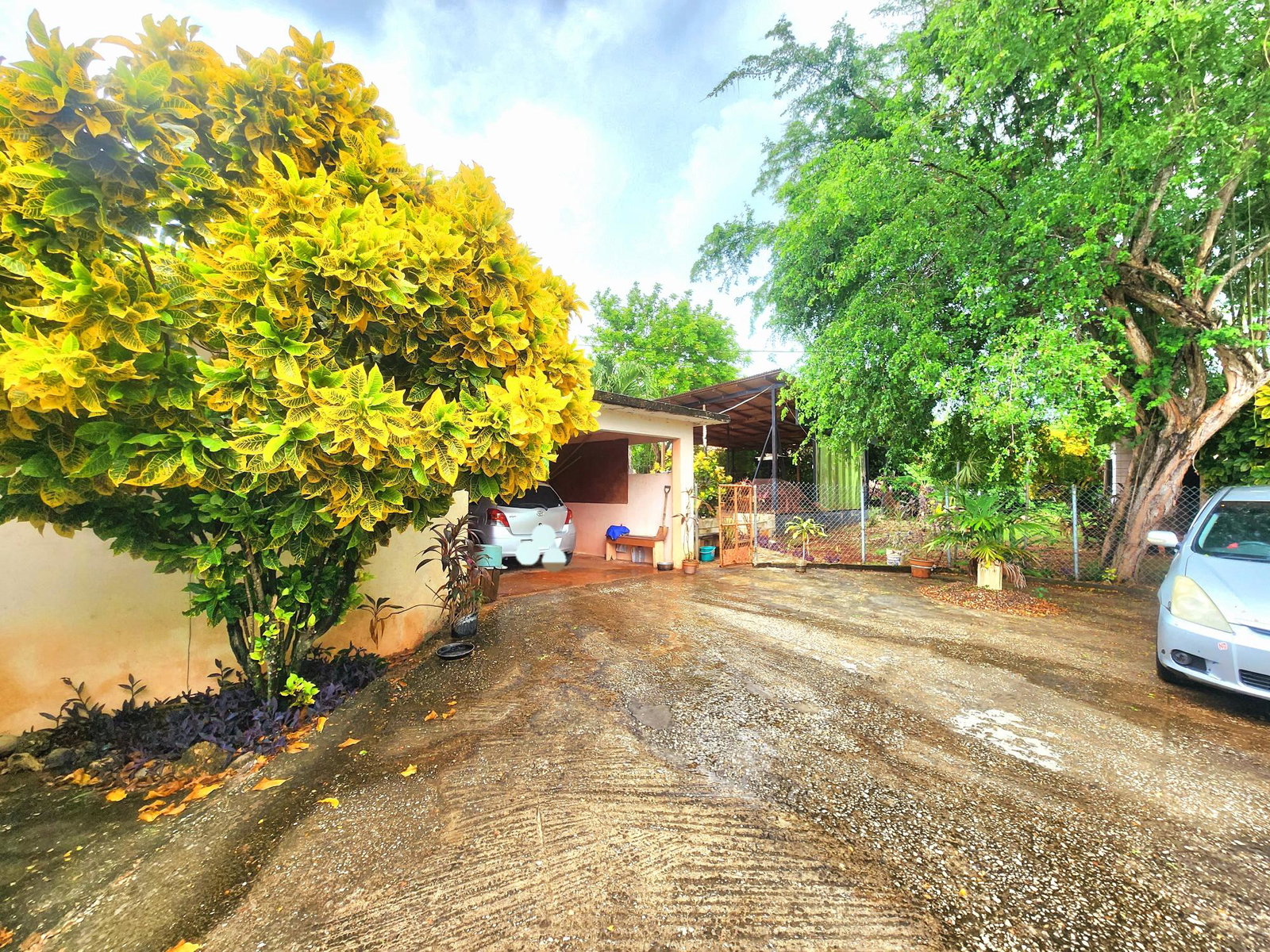 Twenty-Seventh image of 26 Pedro, Hanover in Pedro Pen, Hanover, Jamaica - property is For Sale