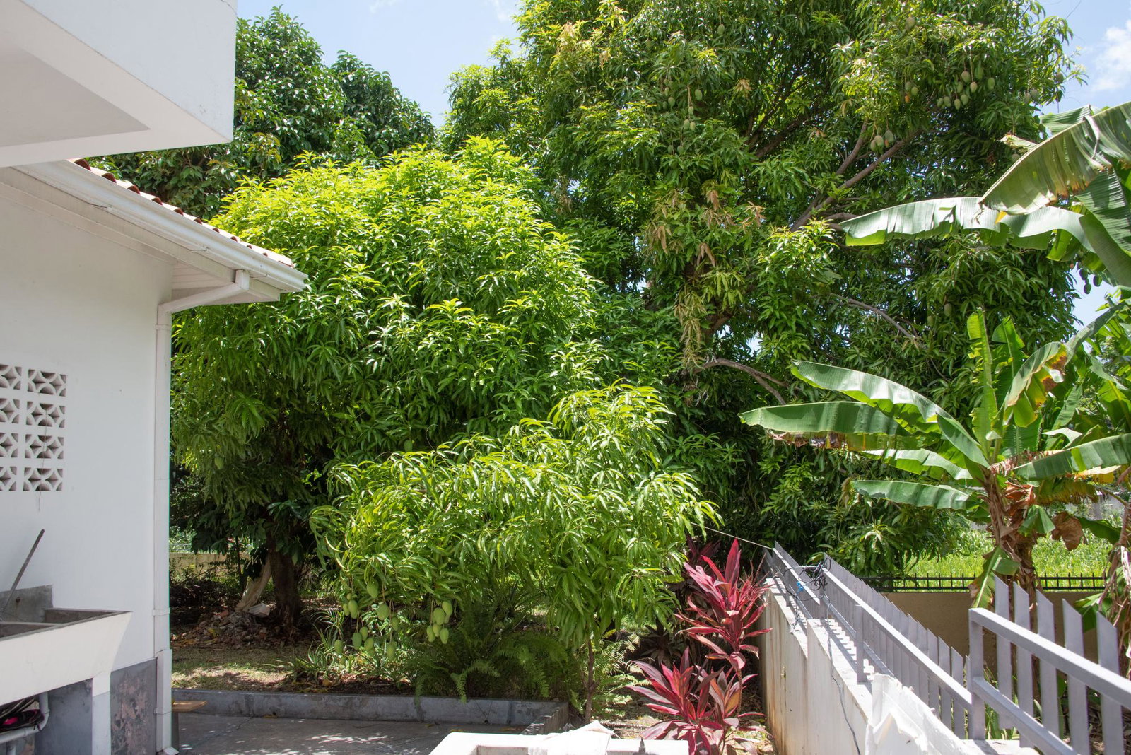 Sixth image of 53-54 Columbus Drive in Mammee Bay, St. Ann, Jamaica - property is For Sale