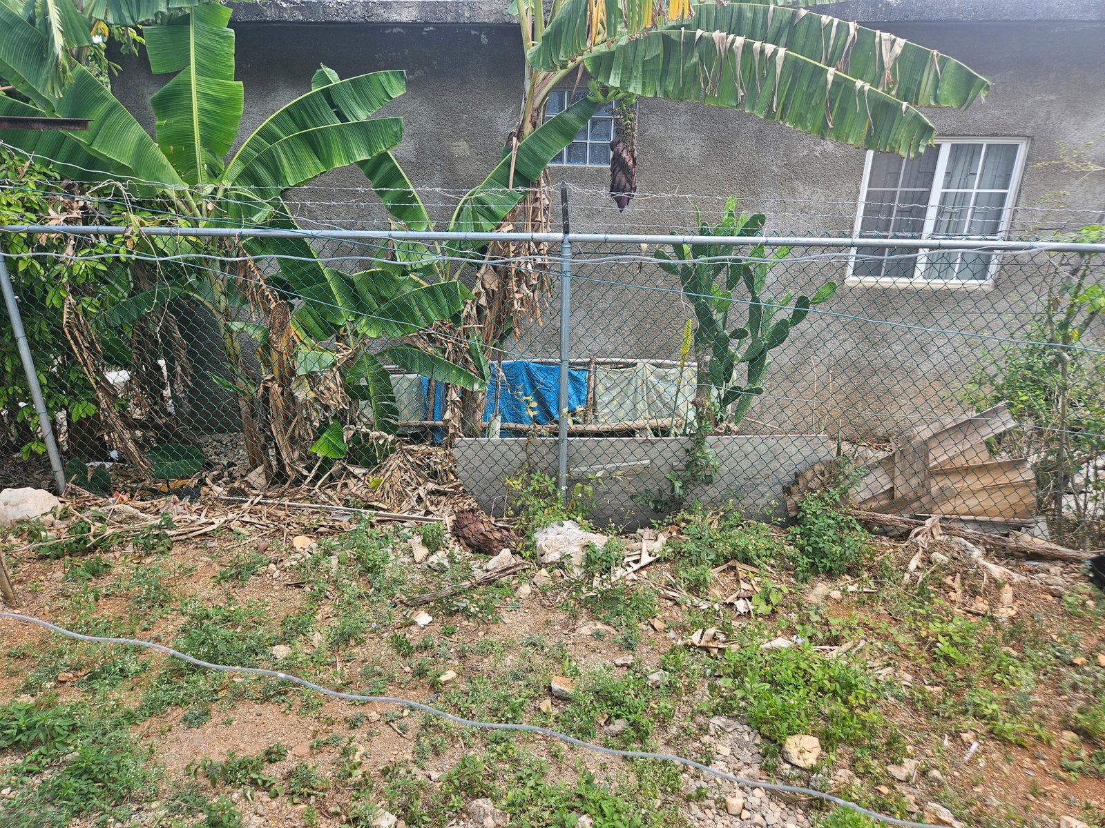 Seventeenth image of Duncans Hill in DUNCANS HILL, Trelawny, Jamaica - property is For Sale