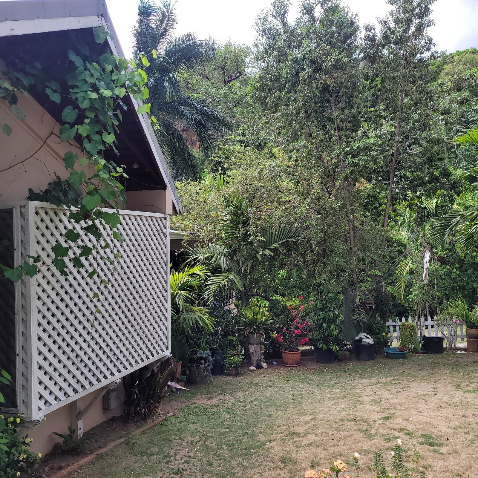 Twenty-Third image of 5 Orange Park , Kingston 8 in Kingston 8, St. Andrew, Jamaica - property is For Sale