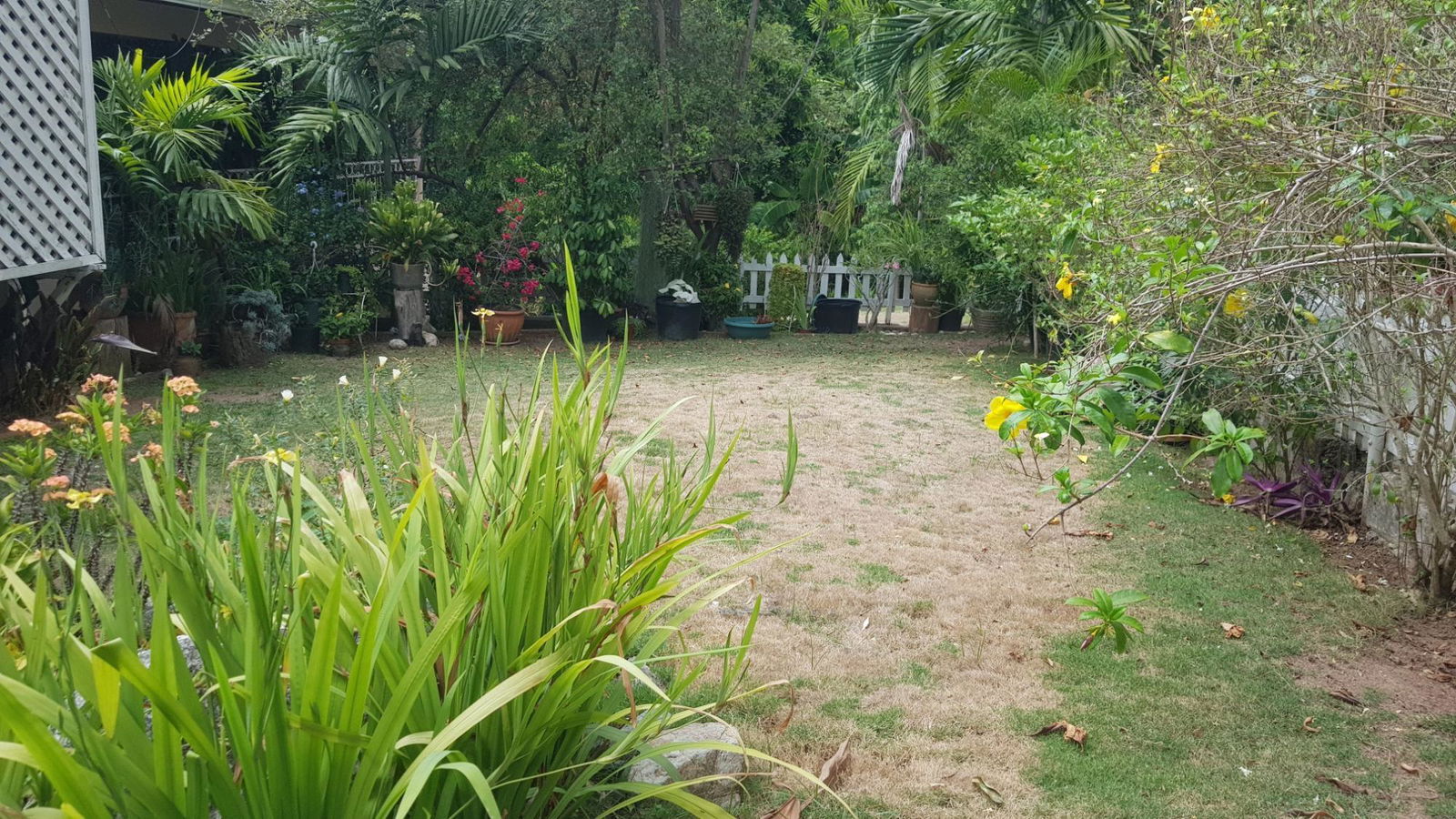 Twenty-Fourth image of 5 Orange Park , Kingston 8 in Kingston 8, St. Andrew, Jamaica - property is For Sale
