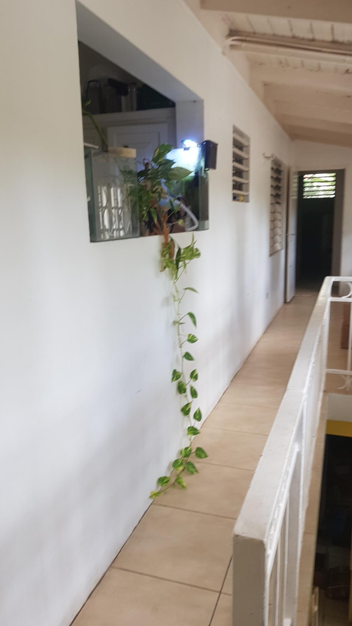 Twenty-Fifth image of 5 Orange Park , Kingston 8 in Kingston 8, St. Andrew, Jamaica - property is For Sale