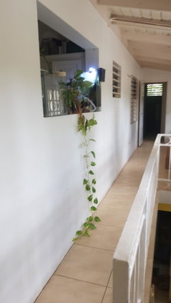 Twenty-Fifth image of 5 Orange Park , Kingston 8 in Kingston 8, St. Andrew, Jamaica - property is For Sale
