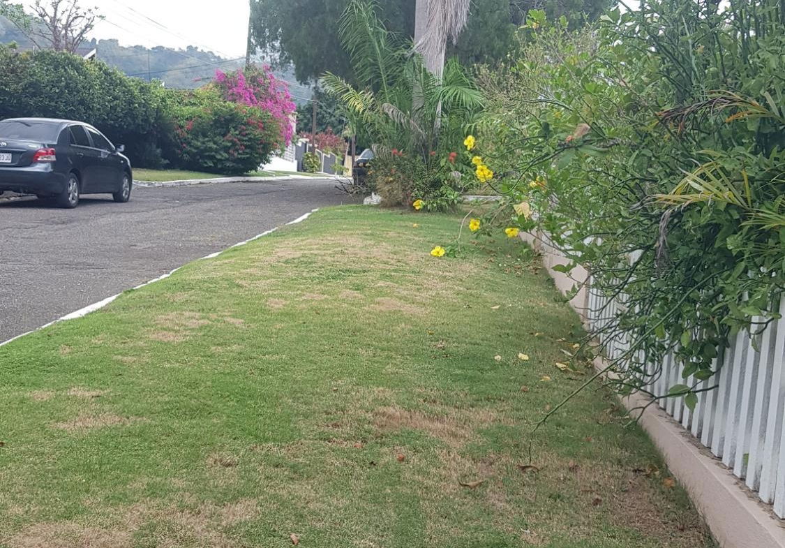Twenty-Eighth image of 5 Orange Park , Kingston 8 in Kingston 8, St. Andrew, Jamaica - property is For Sale