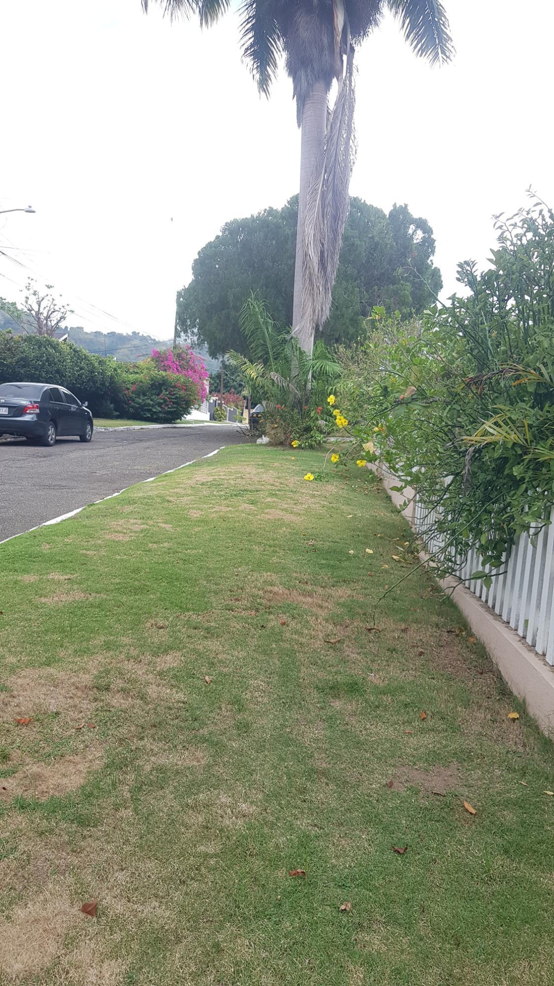 Twenty-Eighth image of 5 Orange Park , Kingston 8 in Kingston 8, St. Andrew, Jamaica - property is For Sale