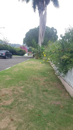 Twenty-Eighth image of 5 Orange Park , Kingston 8 in Kingston 8, St. Andrew, Jamaica - property is For Sale