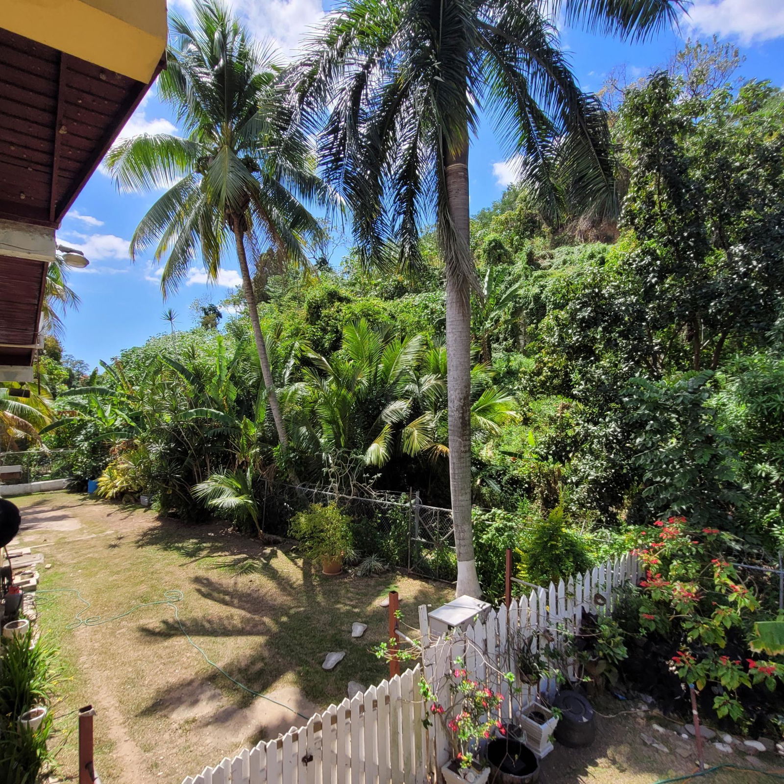 Fourth image of 5 Orange Park , Kingston 8 in Kingston 8, St. Andrew, Jamaica - property is For Sale