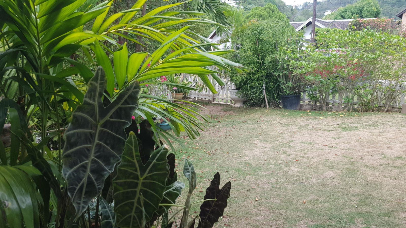 Fifth image of 5 Orange Park , Kingston 8 in Kingston 8, St. Andrew, Jamaica - property is For Sale