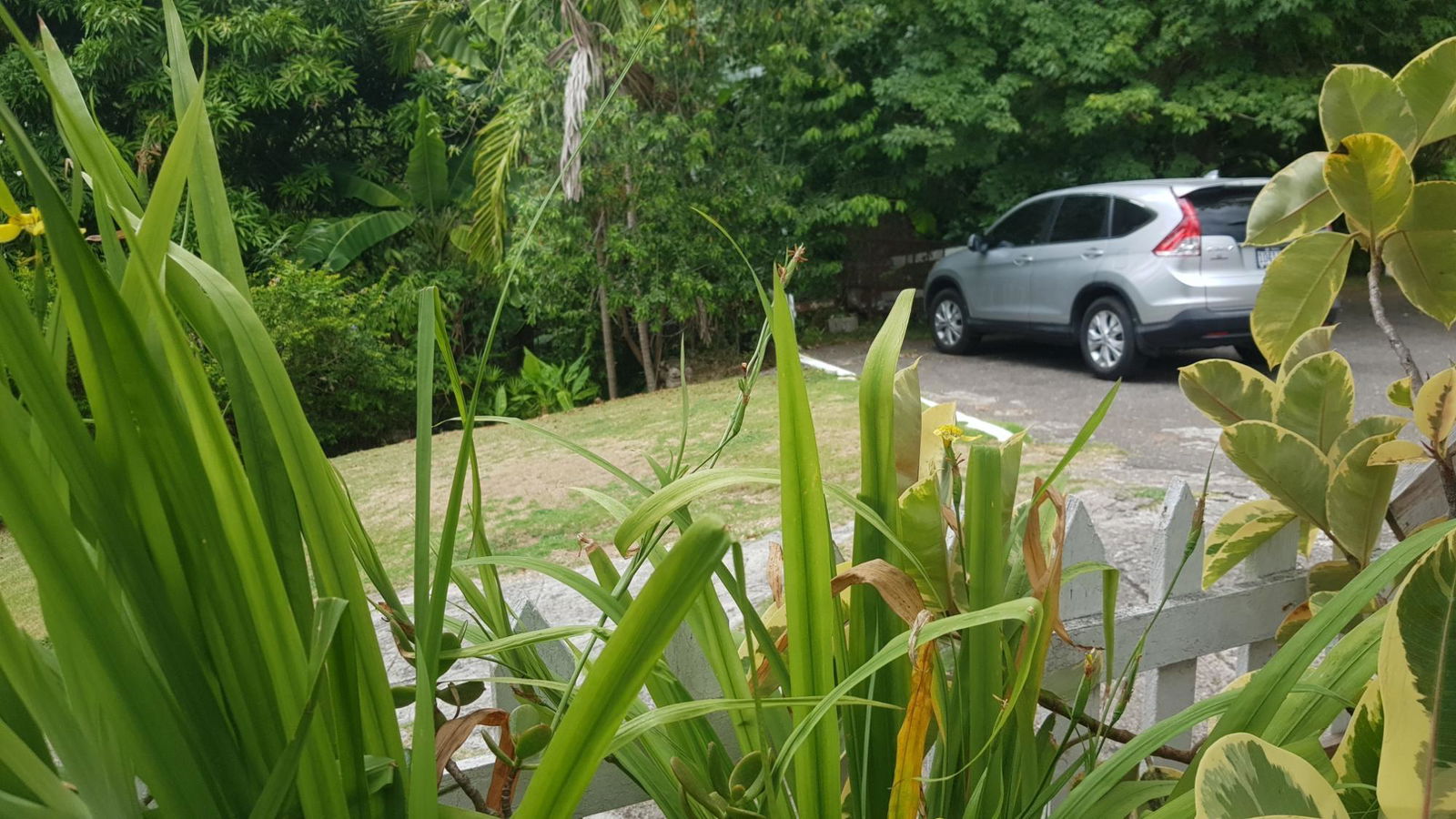 Sixth image of 5 Orange Park , Kingston 8 in Kingston 8, St. Andrew, Jamaica - property is For Sale