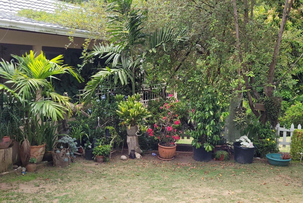 Seventh image of 5 Orange Park , Kingston 8 in Kingston 8, St. Andrew, Jamaica - property is For Sale