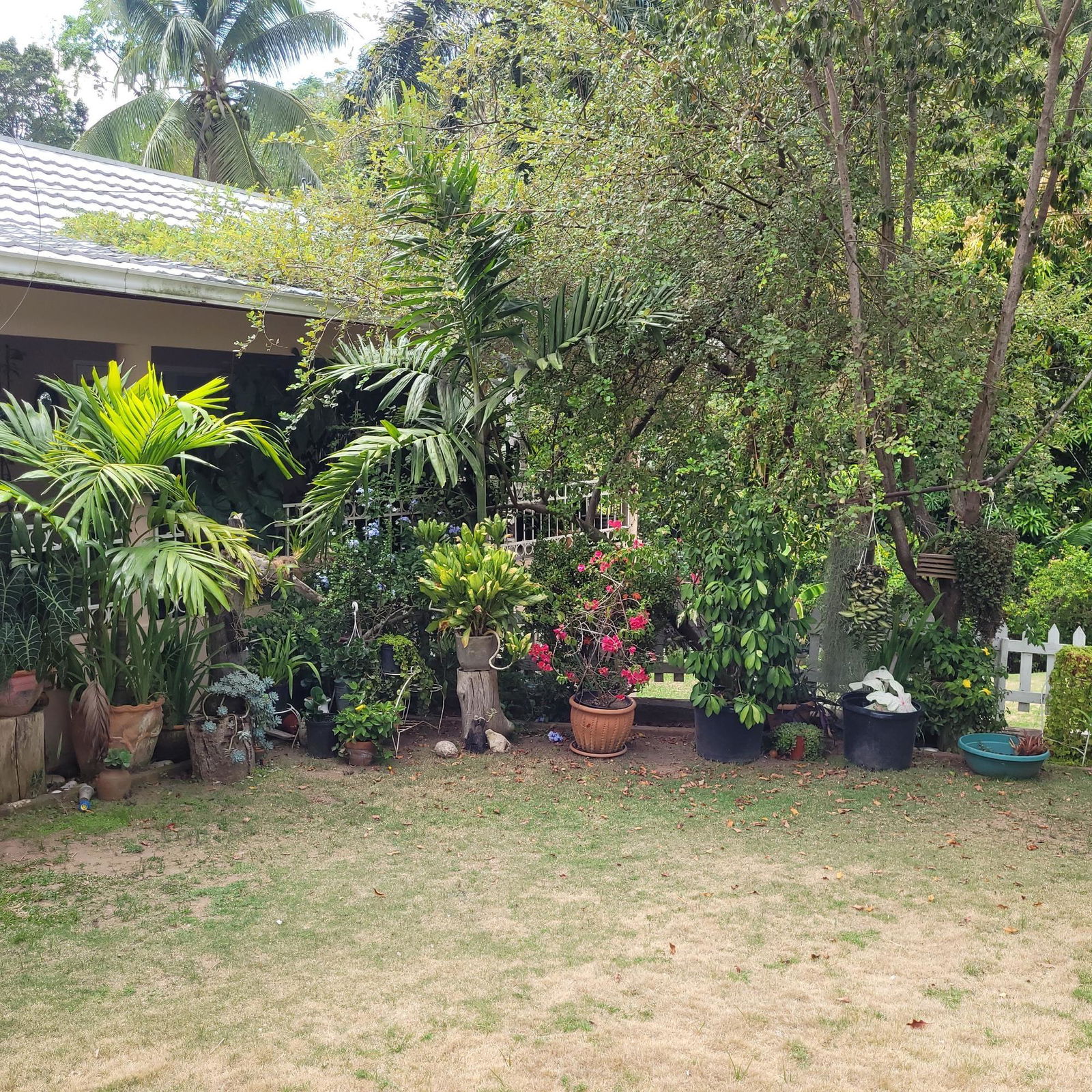 Seventh image of 5 Orange Park , Kingston 8 in Kingston 8, St. Andrew, Jamaica - property is For Sale