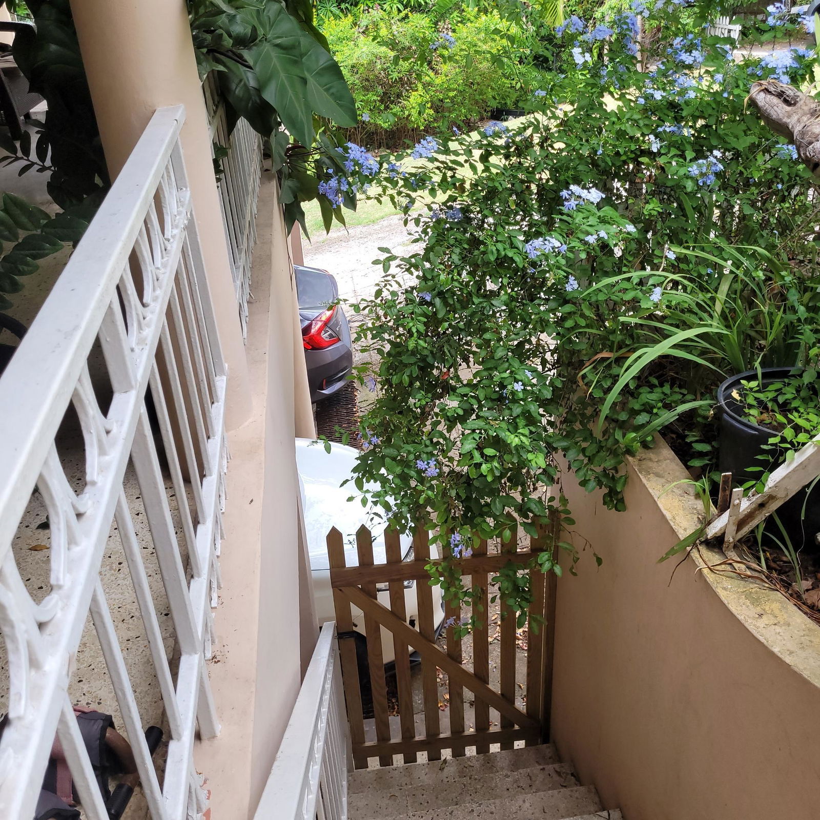 Eighth image of 5 Orange Park , Kingston 8 in Kingston 8, St. Andrew, Jamaica - property is For Sale