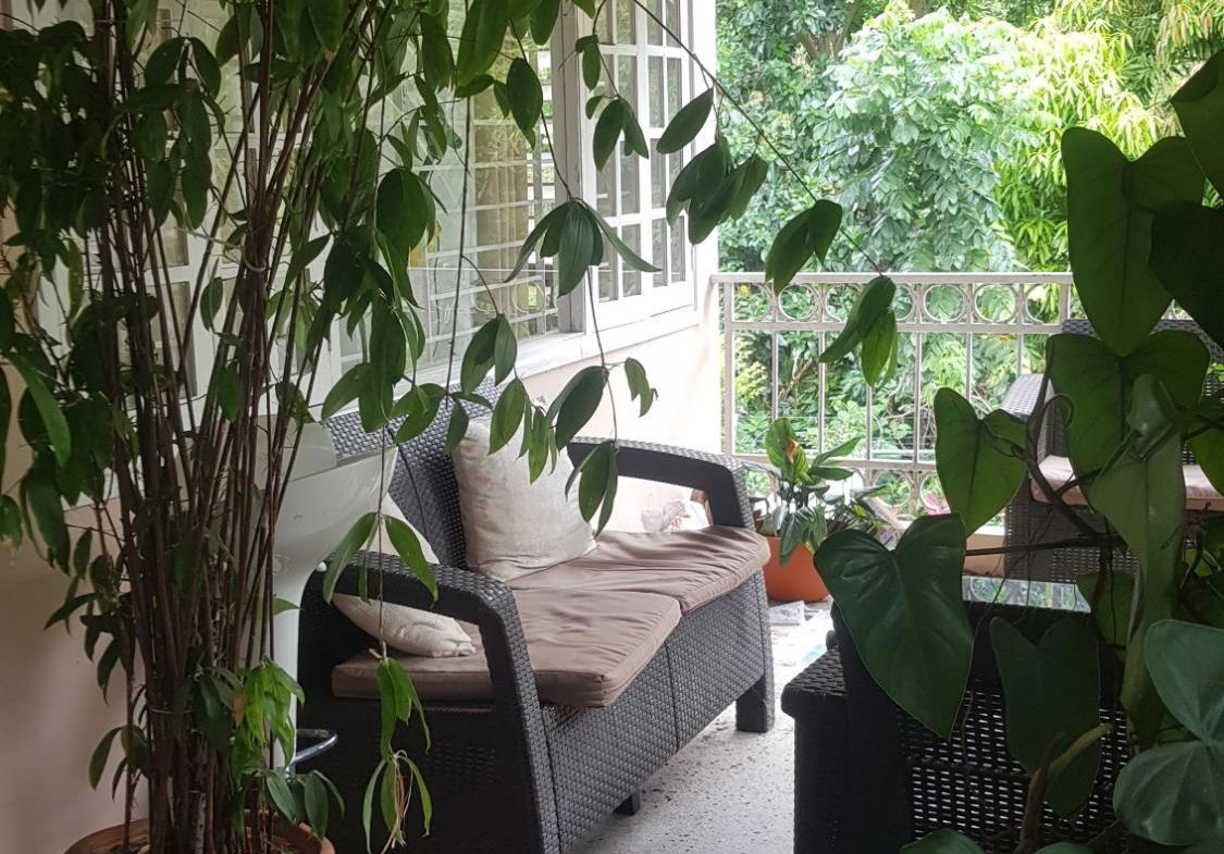 Ninth image of 5 Orange Park , Kingston 8 in Kingston 8, St. Andrew, Jamaica - property is For Sale