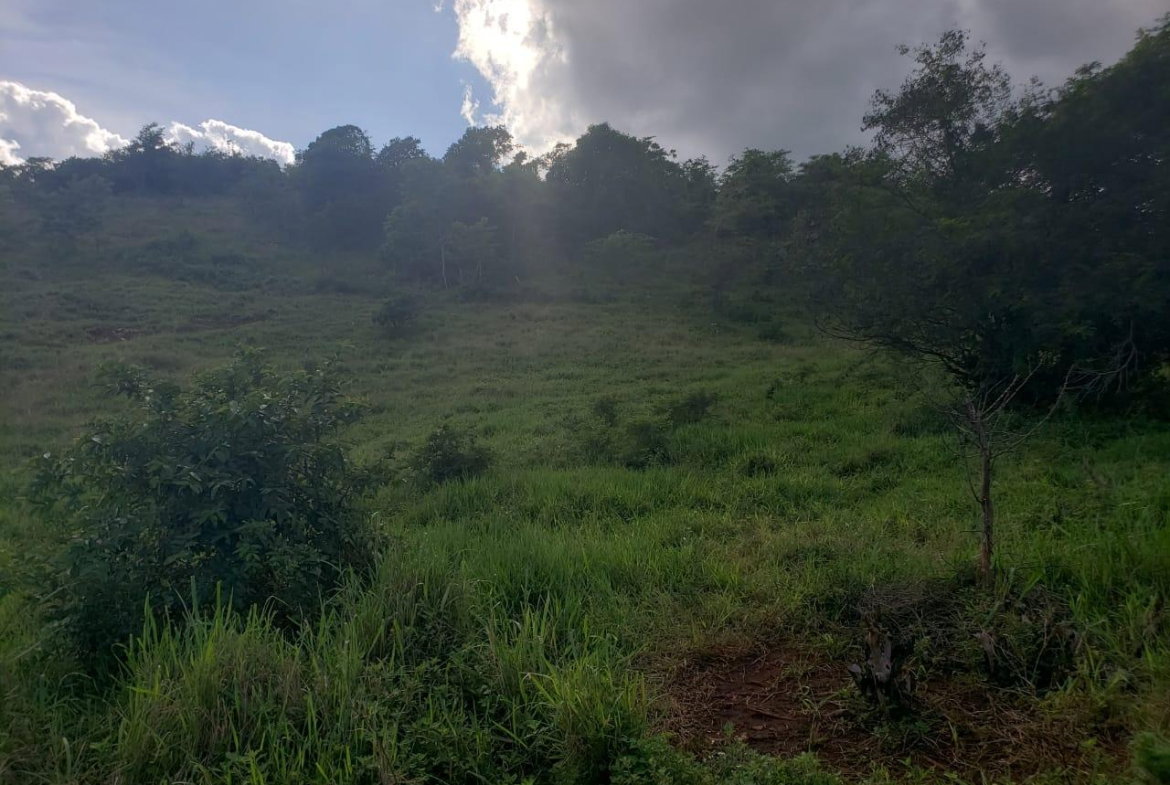 First image of Lot 11 b Brokenhurst, Manchester in Broken Hurst, Manchester, Jamaica - property is For Sale