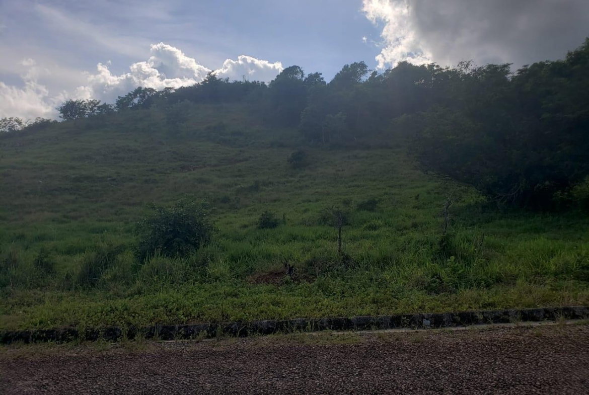 Third image of Lot 11 b Brokenhurst, Manchester in Broken Hurst, Manchester, Jamaica - property is For Sale
